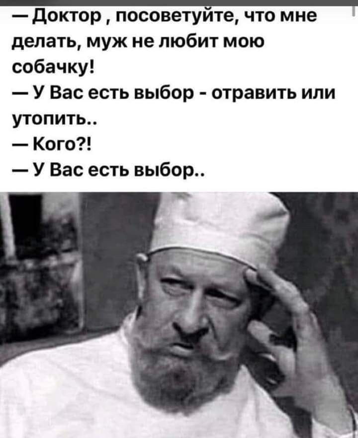 делать муж не любит мою собачку У Вас есть выбор отравить или утопить Кого У Вас есть выбор