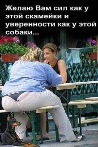 Желаю Вам сил как у этой скамейки и уверенности как у этой собаки за