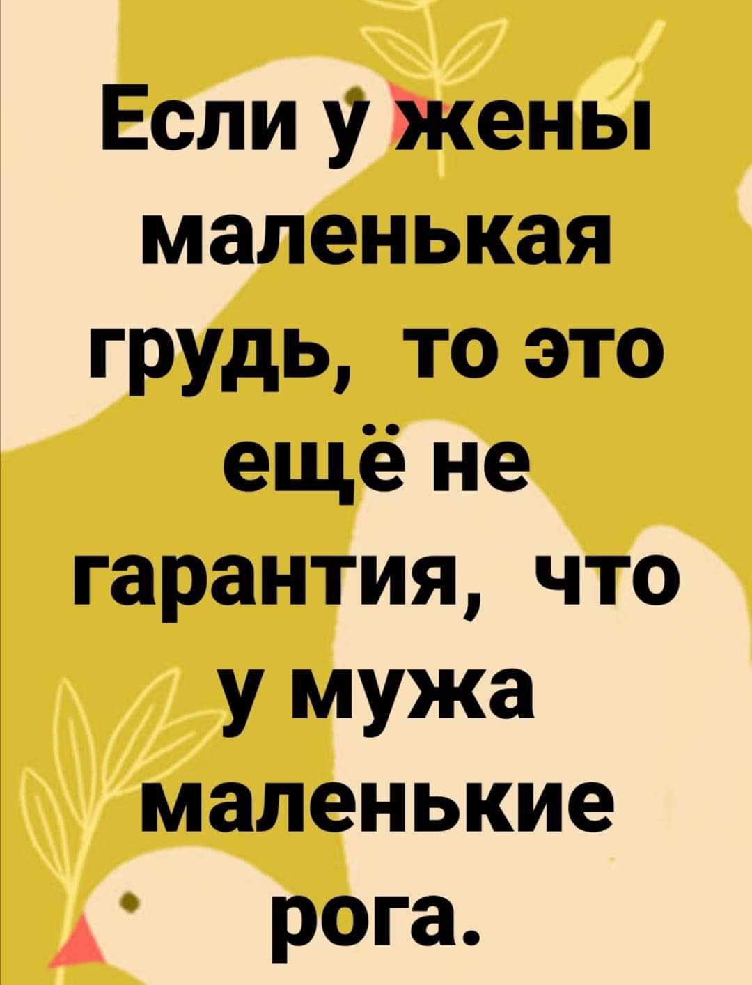 Если у Жены маленькая грудь то это ещё не гарантия что у мужа маленькие рога