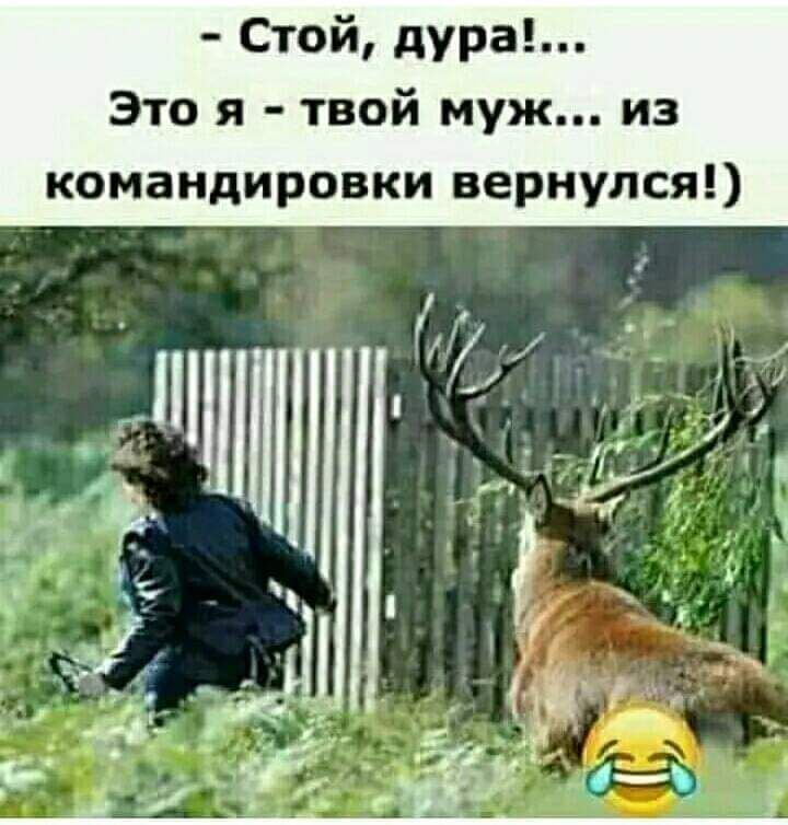 Стой дура Это я твой муж из командировки вернулся _пп У