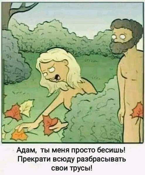 Адам ты меня просто бесишь Прекрати всюду разбрасывать свои трусы