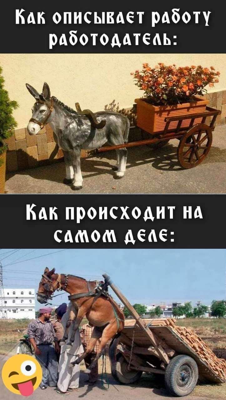 Как описывает работу рдботомтедь Как происходит на самом деда