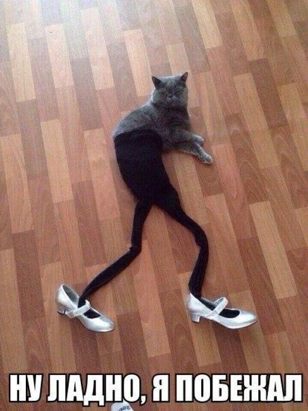 Шэпщшш