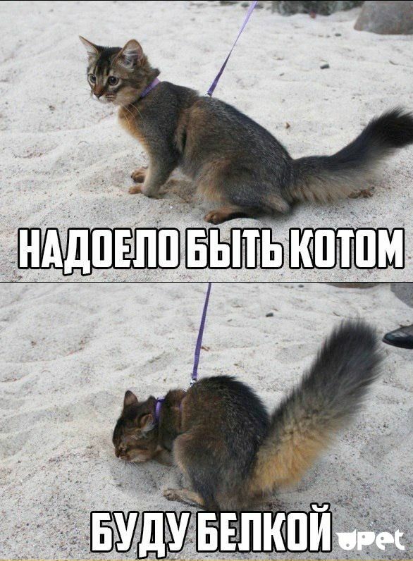 Е