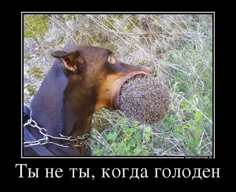 Ты не ты когда гол Ден
