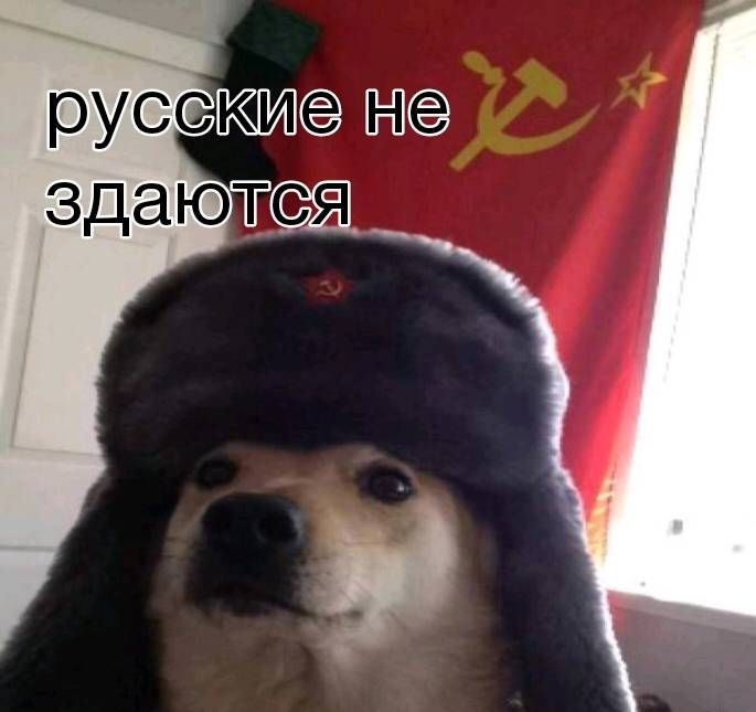 русск е е