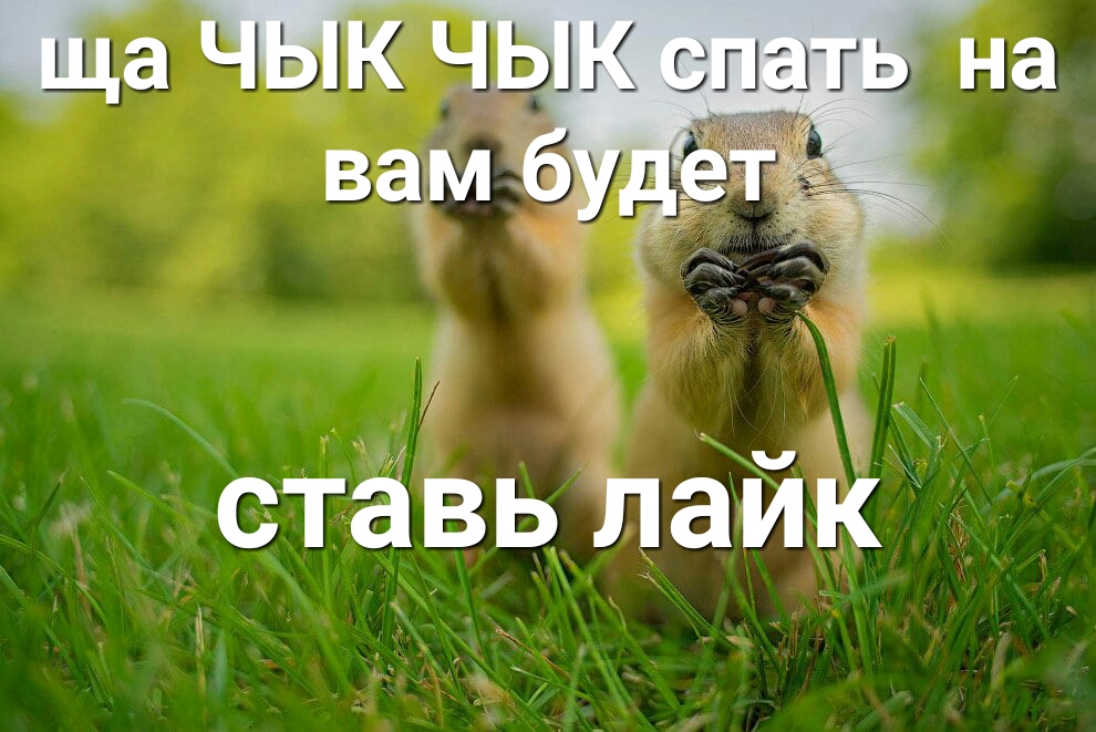 ставь лайк