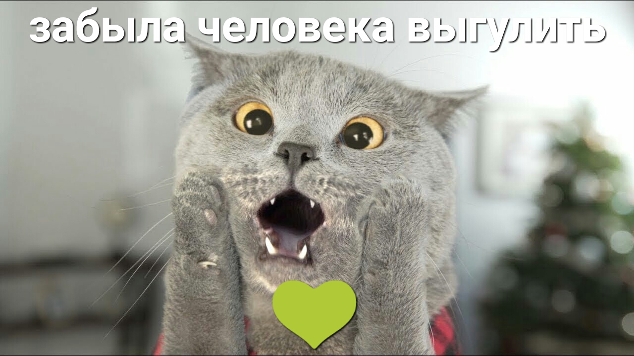 забыл 31 ч дид 33 и вышли гь