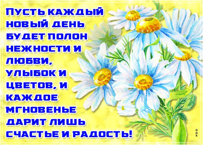Пустькдждый д _ новый день БУДЕТППППН нвжнпсти У _ ЛЮБВИ Х упывпки 17 цввтпви 74 кдждпЕ мгнпввньв __ ддрит пишь чмт ЬЕ и РАДОСТЬ