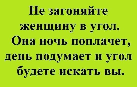 Не загоняйте женщину в угол Она ночь поплачет день подумает и угол