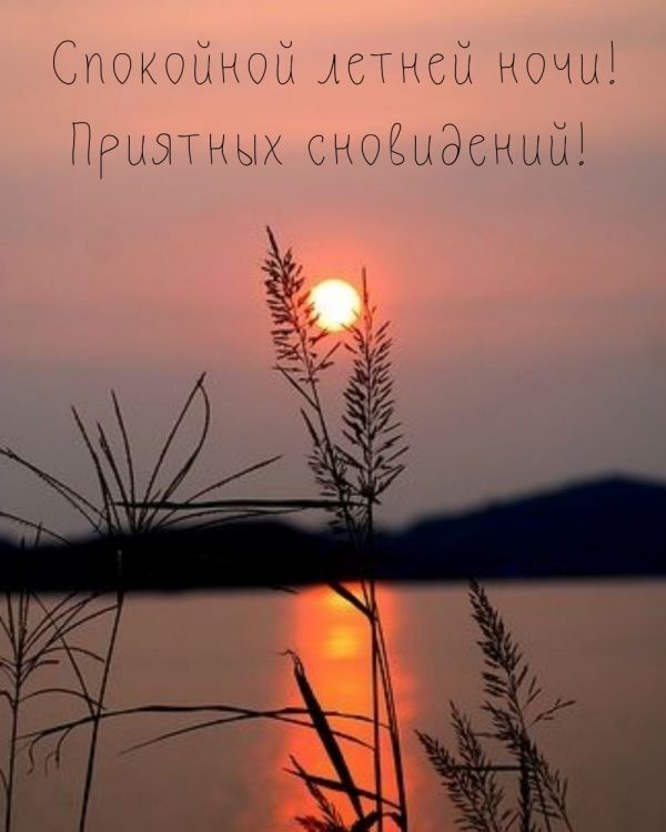 Спокойной летней ночи! Приятных сновидений!
