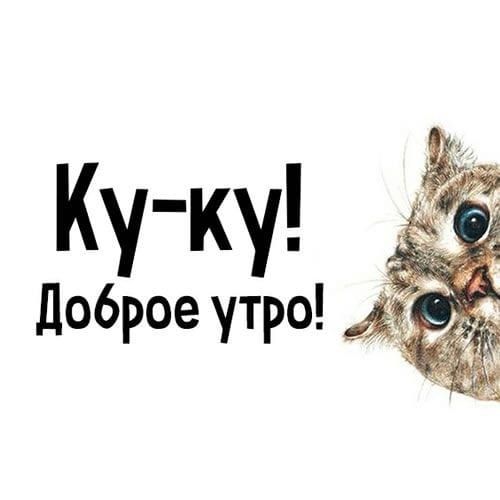 Ку-ку! Доброе утро!