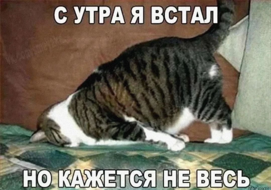 С УТРА Я ВСТАЛ