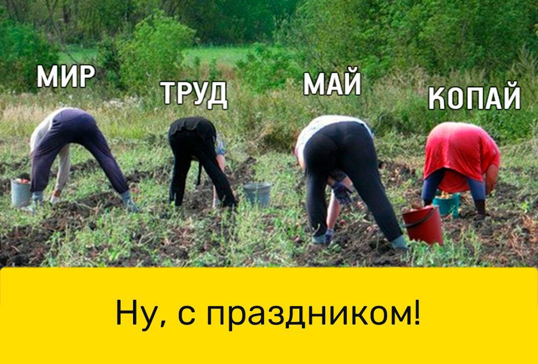Ну с праздником