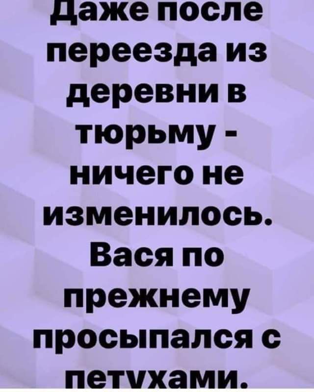 даже после переезда из деревни в тюрьму ничего не изменилось Вася по прежнему просыпался с петчхами
