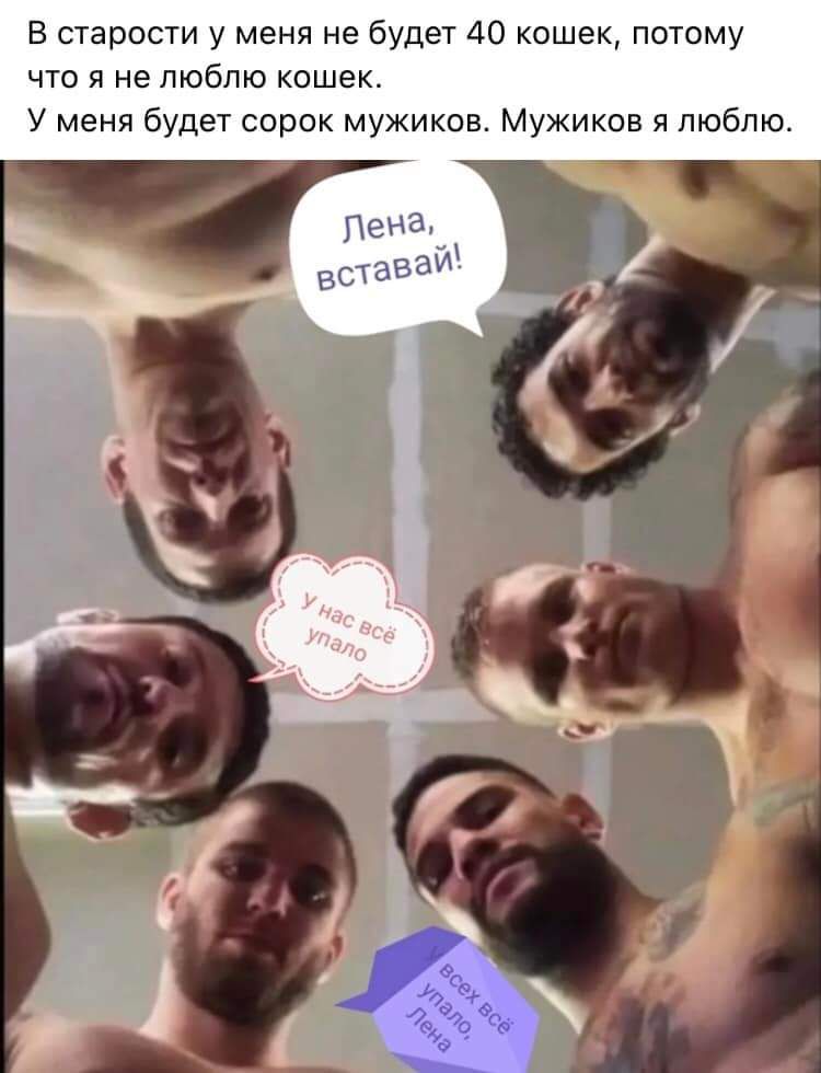 В старости у меня не будет 40 кошек потому что я не люблю кошек У меня будет сорок мужиков Мужиков я люблю