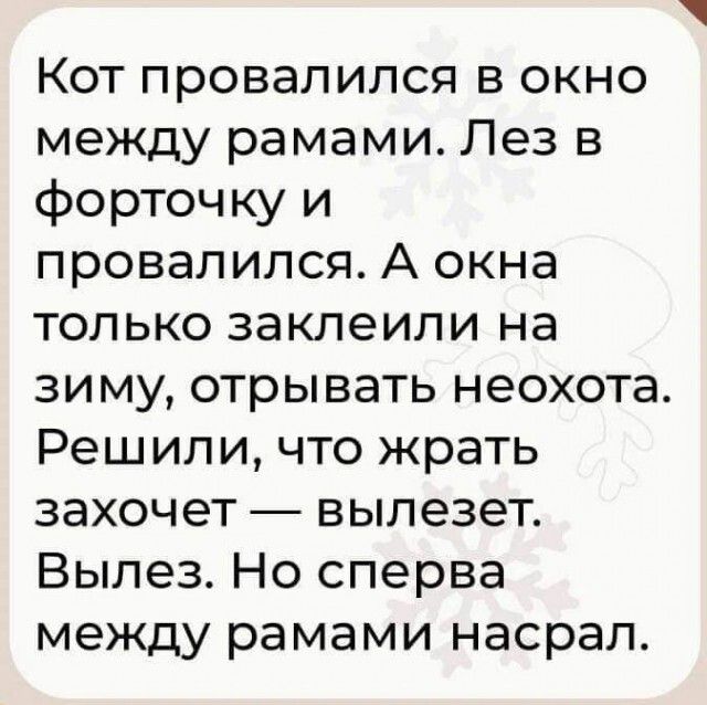 Кот провалился в окно между рамами Лез в форточку и провалился А окна только заклеипи на зиму отрывать неохота Решили что жрать захочет вылезет Вылез Но сперва между рамами насрал