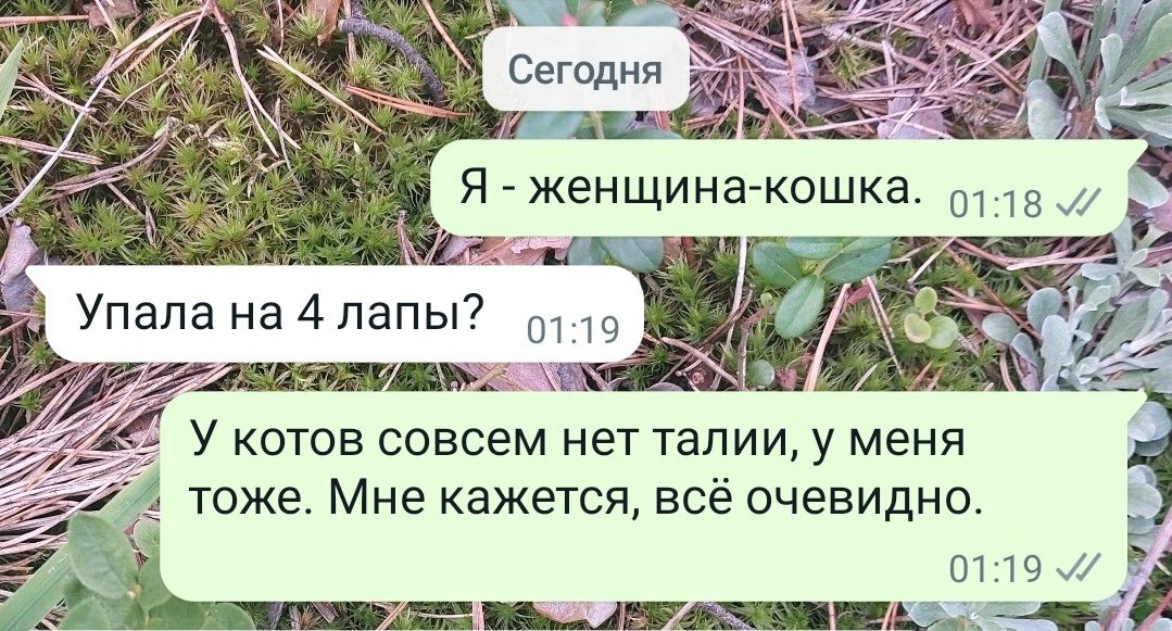 Я женщина кошка нёс Упала на 4 папы7 _ п У котов совсем нет тапии у меня тоже Мне кажется всё очевидно шшш шп