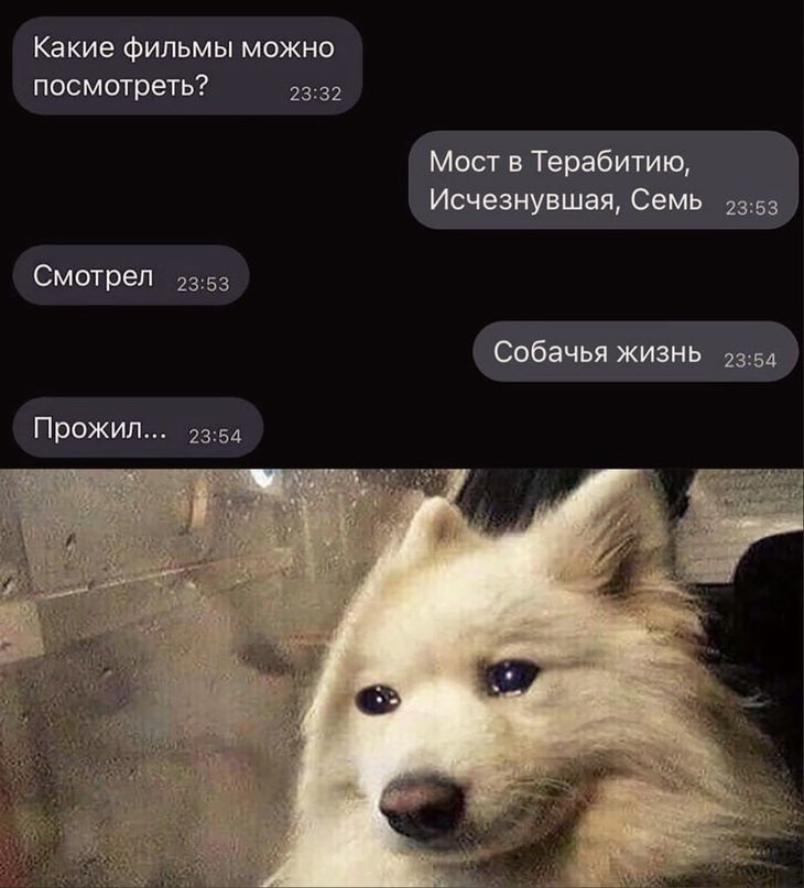 Какие фильмы можно посматреть за 32 Мост в Терабитию Исчезнувшая семь 2355 Смотрел 23 53 Собачья жизнь Прожил 2