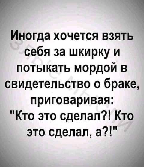 Г Иногда хочется взять себя за шкирку и потыкать мордой в свидетельство о браке приговаривая Кто это сделал Кто это сделал а 1