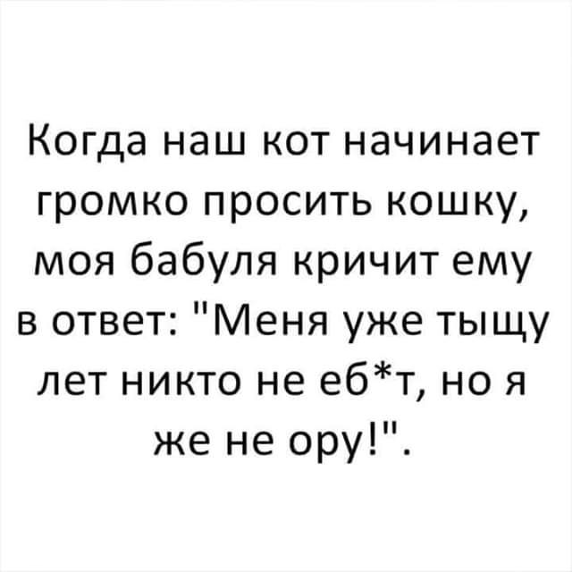 Когда наш кот начинает громко просить кошку моя бабуля кричит ему в ответ Меня уже тыщу лет никто не ебт но я же не ору