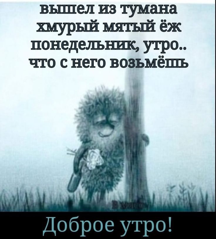 вышел из тумана хмурый пятый ёж ПОНЕДВЛЪЩ утро ЧТО С него ВОЗЪМЁШЪ