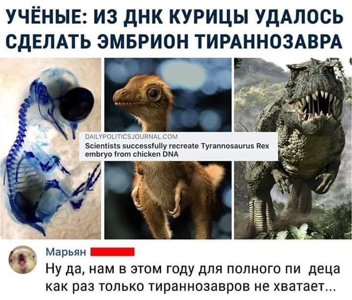 УЧЁНЫЕ ИЗ дНК КУРИЦЫ УДАЛОСЬ СДЕЛАТЬ ЭМБРИОН ТИРАННОЗАВРА _ Мар Ну да нам в этом году для полного пи децн как раз только тираннозавров не хватает
