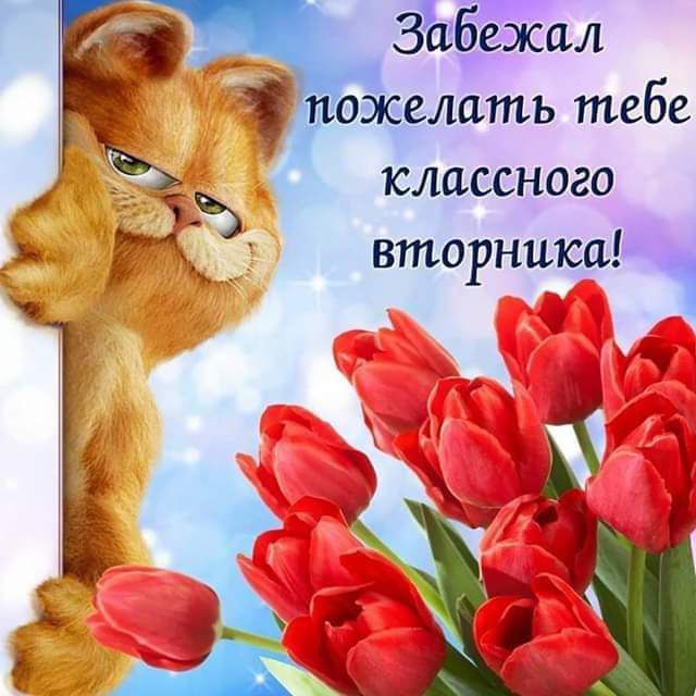 Забежал ещелать тебе классного вто ншса Р 1