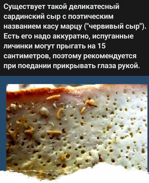 Существует такой деликатесный сардинский сыр с поэтическим названием касу марцу червивый сыр Есть его надо аккуратно испуганные личинки могут прыгать на 15 сантиметров позтому рекомендуется при поедании прикрывать глаза рукой