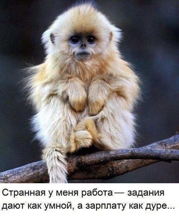 Странная у меня работа задания дают как умной а зарплату как дуре