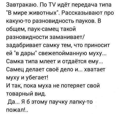 Завтракаю По Т идёт передача типа В мире животных Рассказывают про какукгто разновидность пауков В общем пауксамец такой разновидности заманивает задабривает самку тем что приносит ей в дары свежепойманную муху Самка типа мпеет и отдаётся ему Самец делает своё дело и хватает муху и убегает И так пока муха не потеряет свой товарный вид Да Я б этому паучку лапку то пожал