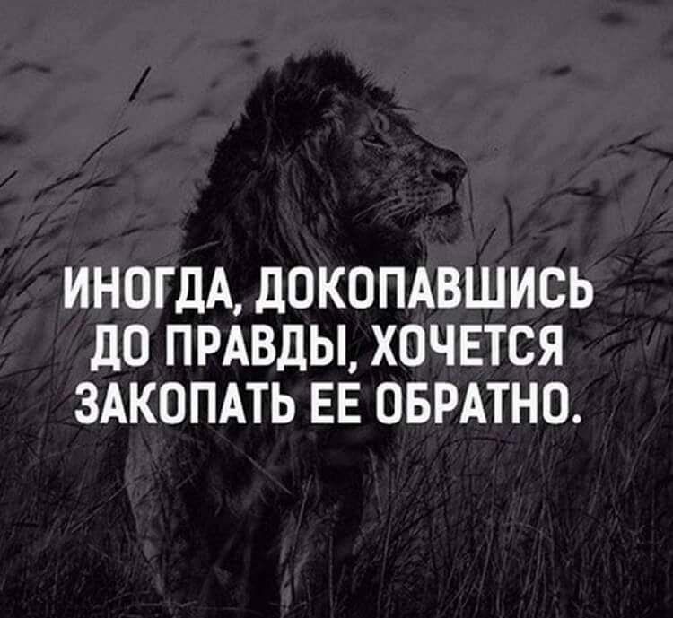 ИНОГДА ЦОКОПАВШИСЬ до ПРАВДЫ ХОЧЕТСЯ ЗАКОПАТЬ ЕЕ ОБРАТНО