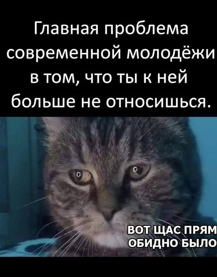 Главная проблема современной молодёжи в том что ты к ней больше не относишься г у