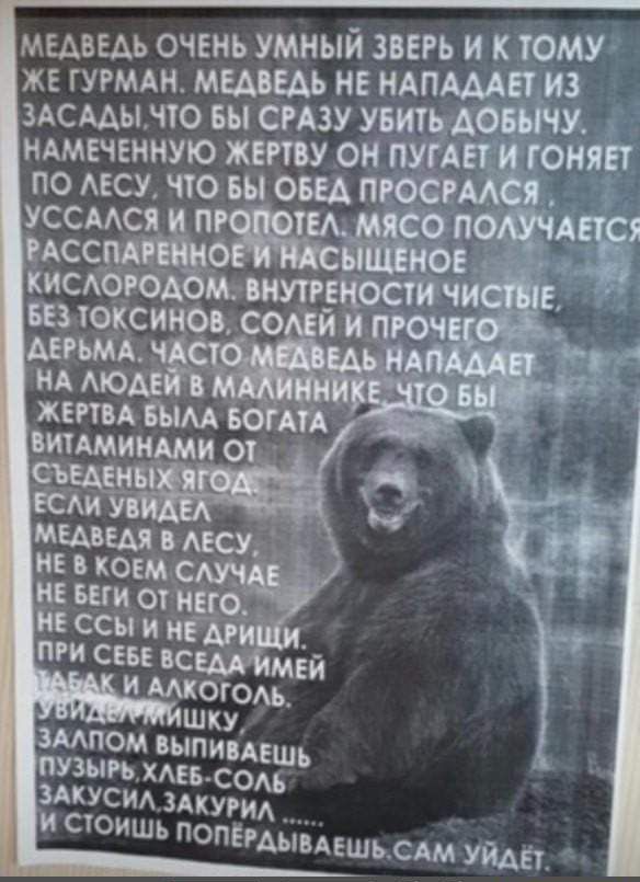 МЕАВЕАЬ очень умныи зверь и к тому ЖЕ гугмдн медведь НЕ НАПАААЕУЪИЗ здсмынто вы СРАЗУ литымиш НАМЕЧЕННУЮ жити он пупа гонт по АБСУ но вы ош ПРОФ уссмся п по АСС _ _ киебт на такси шим _