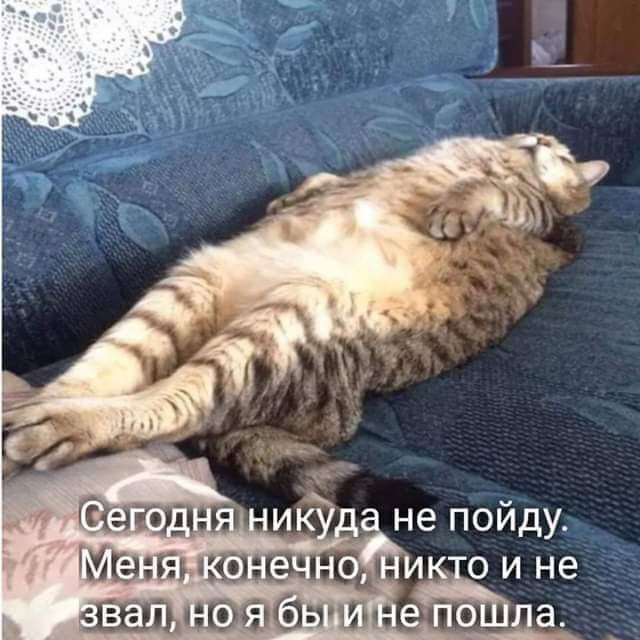 МБЩН ИЗЮМ и оине ЛЫШЮП943