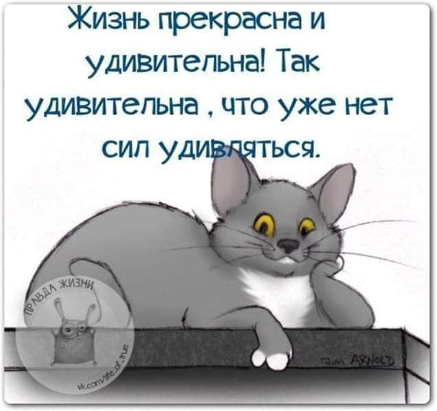 Жизнь прекрасна и удивительна Так удивительна что уже нет