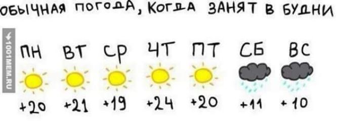 Биччи пишиш КоппА ЗАНЯТ В БУДНИ БИН вт ср ЧТ пт св ВС О 0 11 13 10 и