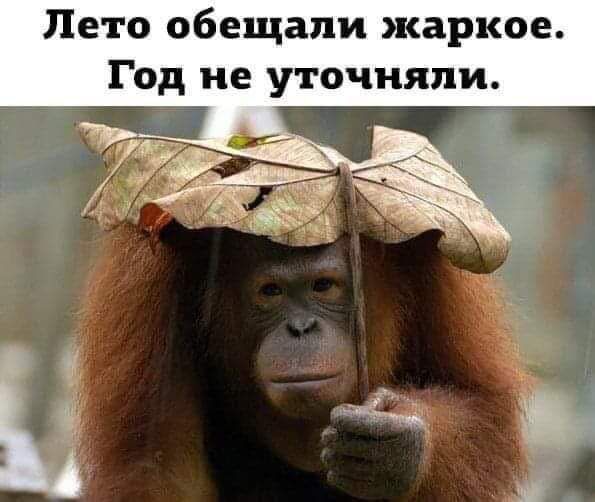 Лето обещали жаркое Год не уточнили
