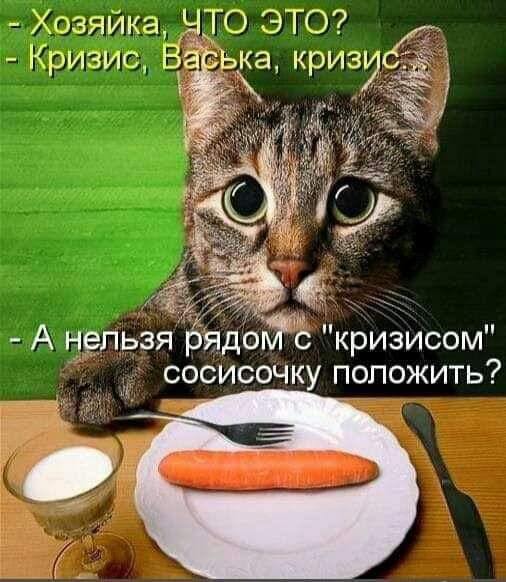 Хозяйка ЧТО ЭТО Вц ь ризиг ЁЁ кр Ёізу А нельзя рядойбс кризисом сосисочку положить 9