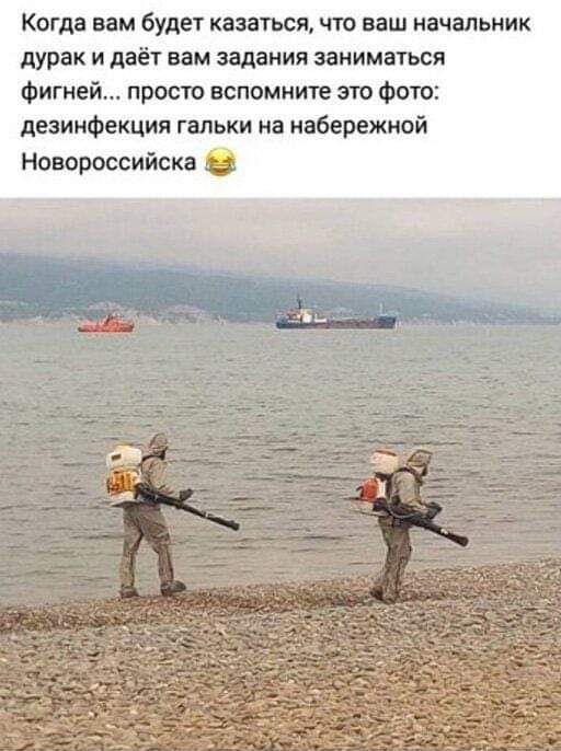 Когда вам будет казаться что ваш начальник дурак и даёт вам задания заниматься Фигней просто вспомните это Фото дезинфекция гальки на набережной Новороссийска