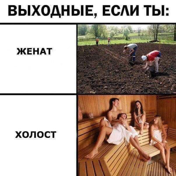 ВЫХОДНЫЕ ЕСАИ ТЫ ЖЕНАТ ХОЛОСТ