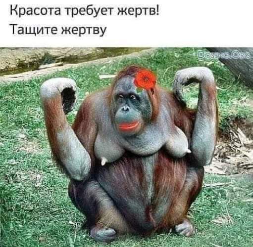 Красота требует жертв Тащите жертву