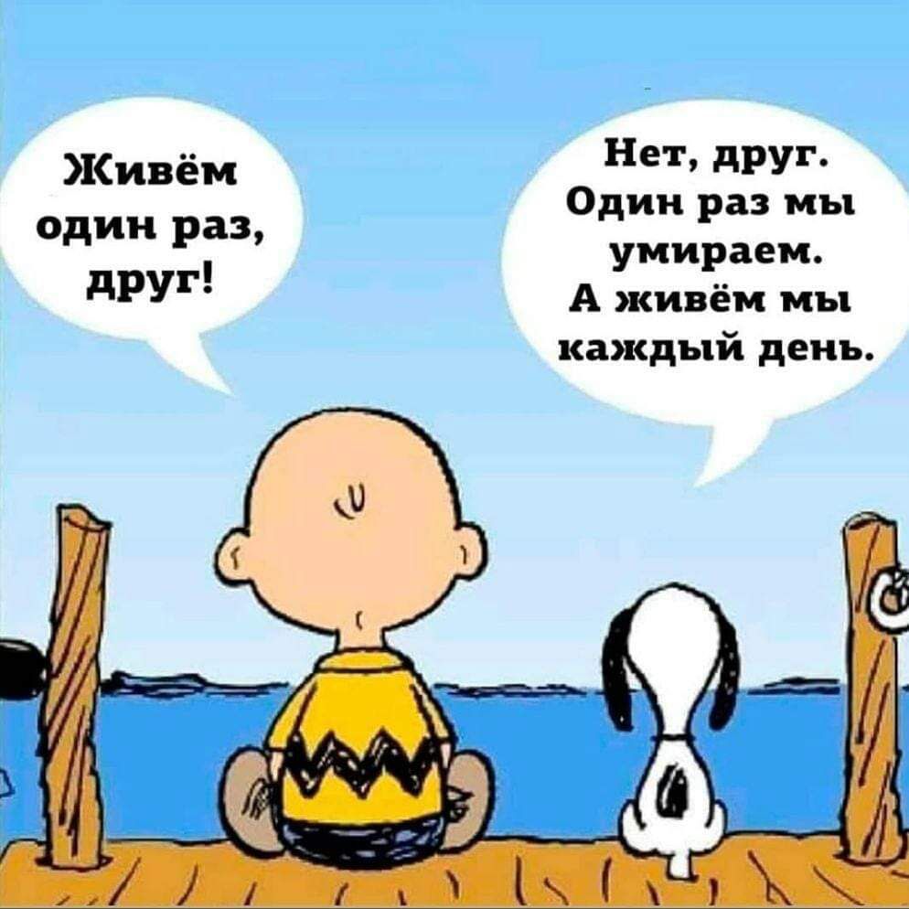 Нет друг Живём Один раз мы один раз умираем друг А живём мы каждый день