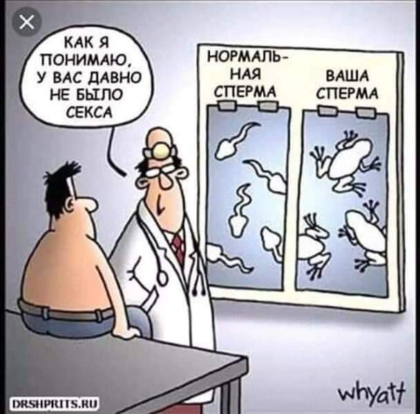 КАК Я ПОНИМАЮ У ВАС ЩВНО НЕ БЫЛО СЕКСА