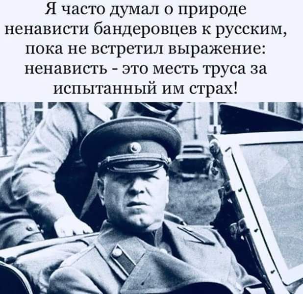 Я часто думал о природе ненависти бандеровцев к русским пока не встретил выражение ненависть это месть труса за испытанный им страх