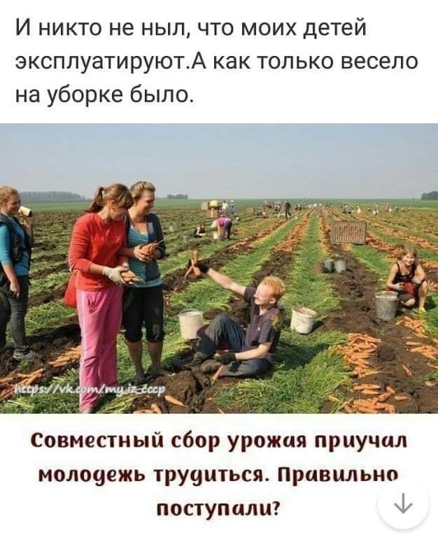 И никто не нып что моих детей эксплуатируютА как только весело на уборке было совместный сбор урожая приучил малоугжь труцпться Правильна попупцли Ф