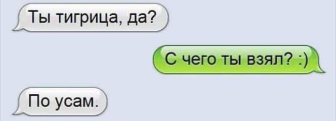 Ты тигрица да Піо усйам