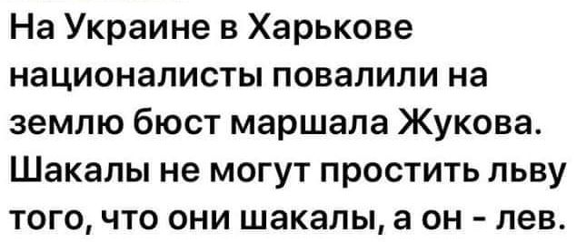 На Украине в Харькове националисты повалили на землю бюст маршала Жукова Шакалы не могут простить льву того что они шакалы а он лев