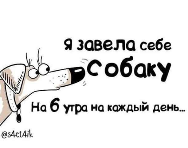 Я завело себе собаку