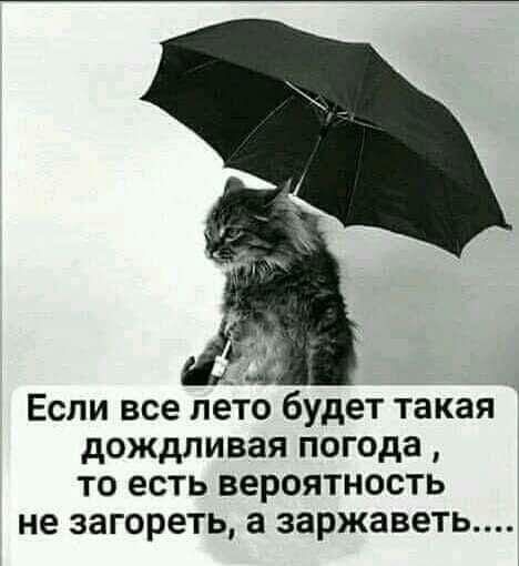 Если все лето будет такая дождливая погода то есть вероятность не загореть а заржаветь